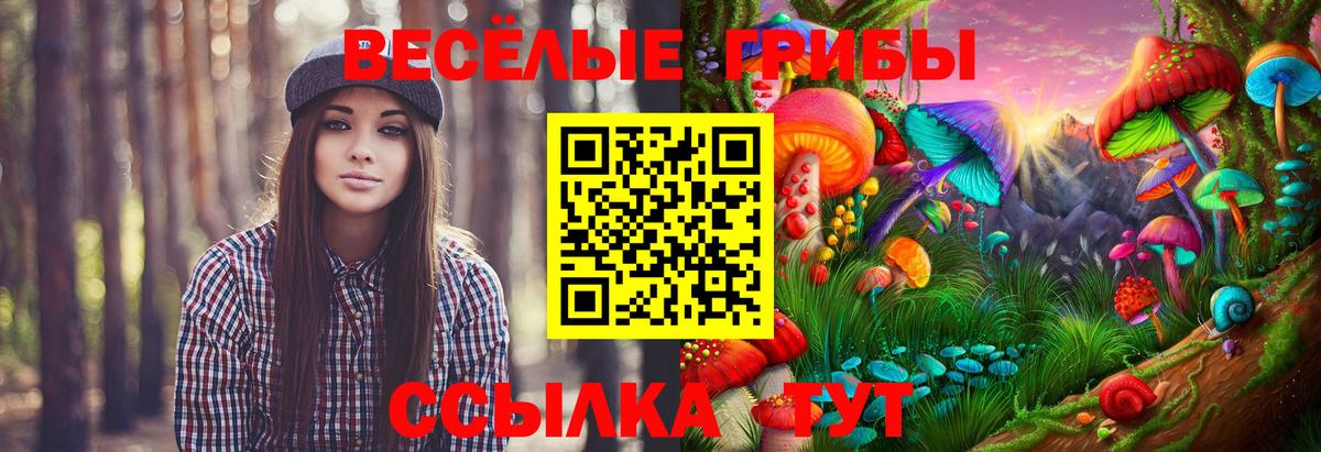 Псилоцибиновые грибы Psilocybe Урус-Мартан